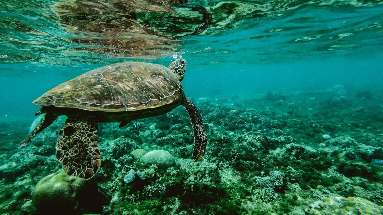 Zanzibar Holiday Packages