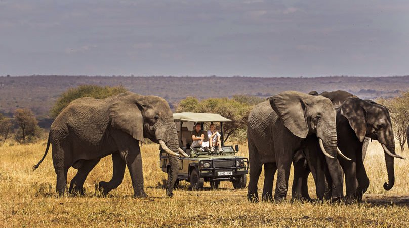 luxury safaris