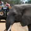 Day-Trip-Fly-in-Safari-to-Mikumi-National-Park-from-Zanzibar