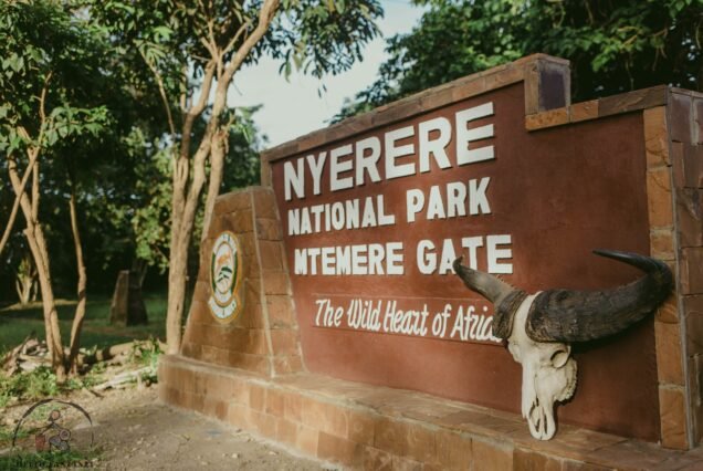 Day-Trip-Fly-in-Safari-to-Selous-Game-Reserve-from-Zanzibar